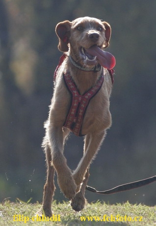 Tri studne MR 06 - 182.JPG